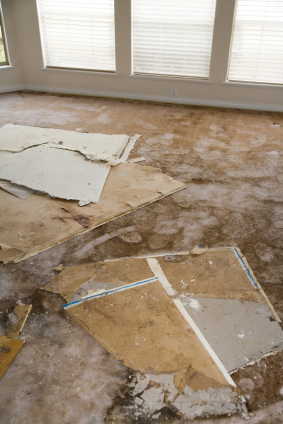 Restore healthy indoor air after flooding.
